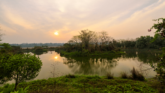 View of Migratory Birds Pond near Waxpol Hotels and Resorts