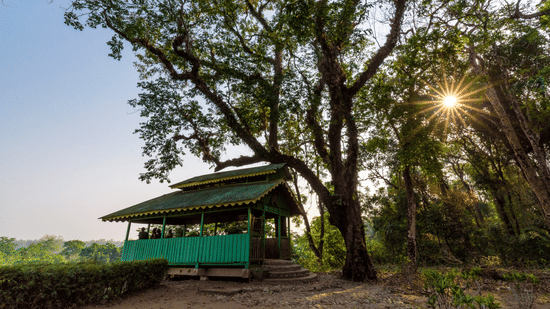 A wooden house with semi built walls from where people can enjoy the view of nature