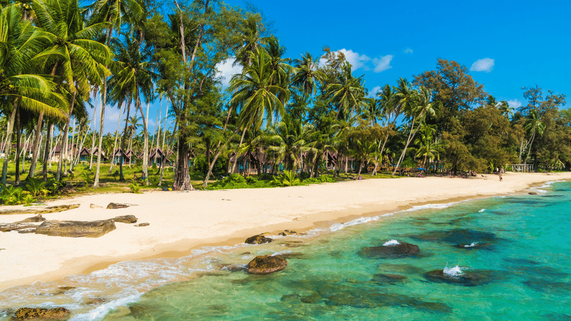 A beach with clear water, a sandy beach, and a line of palm trees along the shore under a clear sky.