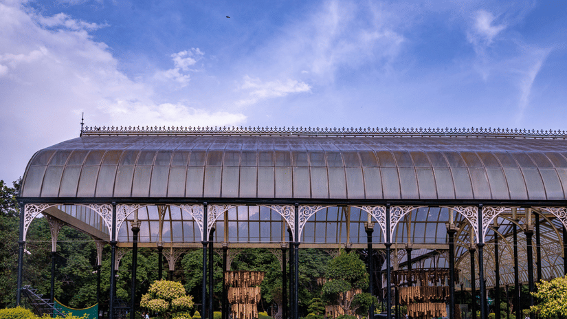 A sunlit glasshouse at Lalbagh Botanical Garden with a pitched roof and metal framework, surrounded by potted plants and greenery