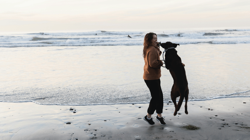 A dog and its custodian playing cheerfully on a sandy shore.
