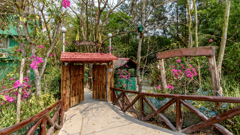 A pathway with wooden walls leading to a wooden gate surrounded by plants and trees.