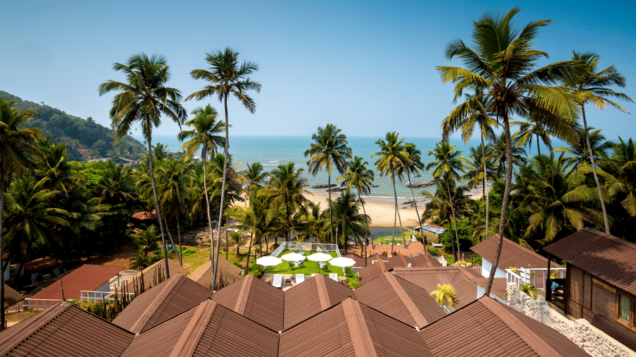 aerial view of cottages at a resort surrounded by swaying coconut trees facing the ocean - Stone Wood Hotels & Resorts