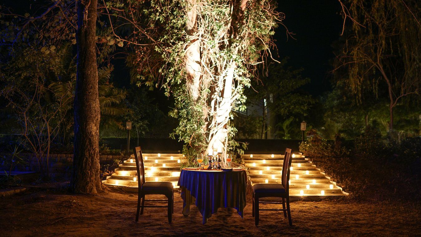  tree private dining- The Golden tusk
