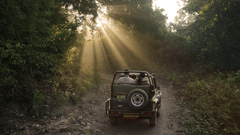  Sunlight filtering through trees in a forest, illuminating a utility vehicle on a dirt road  at The Golden Tusk, Jim Corbett