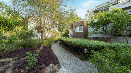 Golden Tusk Shoot-IMG 0740