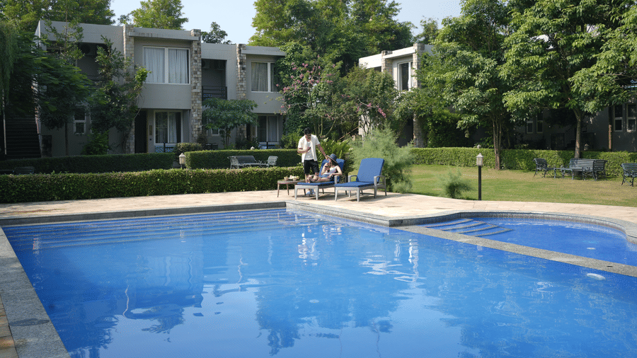 A  clear blue swimming pool surrounded by a green lawn and trees at The Golden Tusk, Jim Corbett