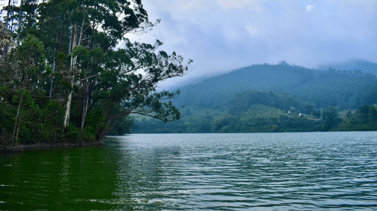 Serene view of a lake flanked by tall trees, with lush rolling hills partially covered by low-hanging mist in the background.