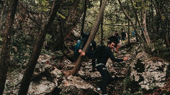 An image of people trekking on the woods which has risky track and rocks