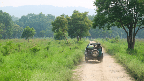 A safari jeep driving down a dirt road through a green grassy landscape with distant trees and hills.