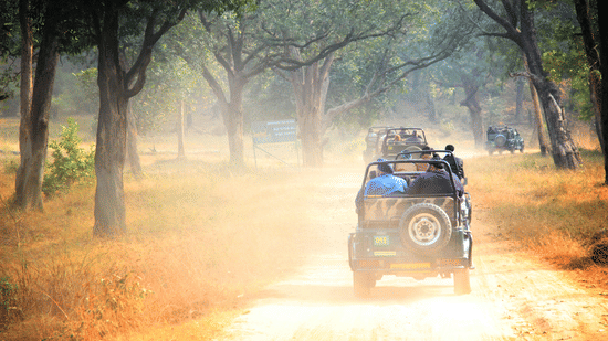 A jeep carrying people for a jungle safari.