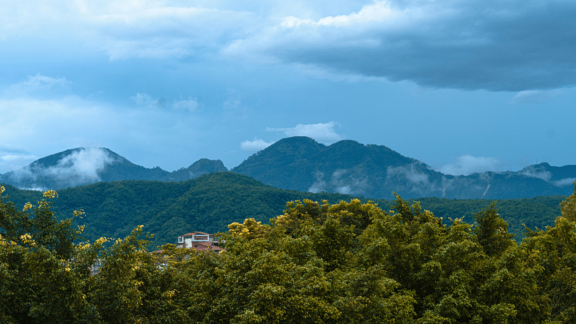 View of a forest with mountains in the backdrop on a cloudy day