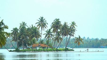 an image of a small island on a lake featuring palm trees and a shack