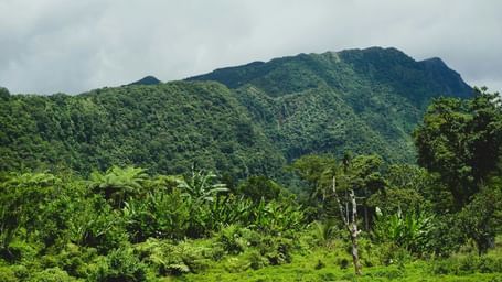 A lush green hilly landscape covered with thick tropical vegetation along with a cloudy sky in the background.