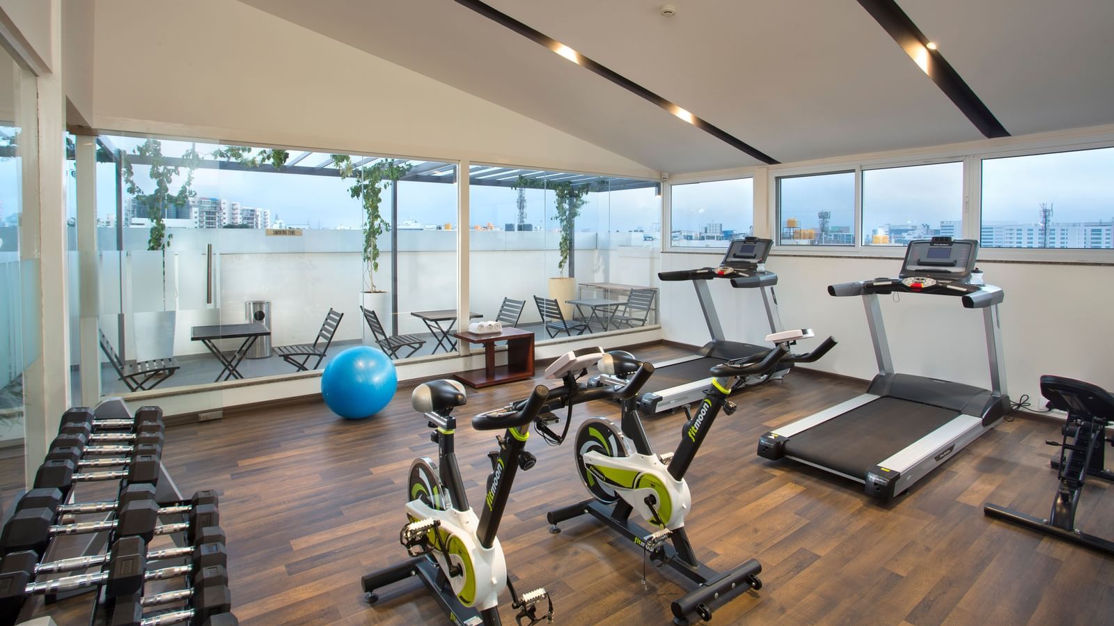 The gym with a view of the outdoor terrace, showcasing treadmills and stationary bikes - De Venetian by TGI, Brookefield