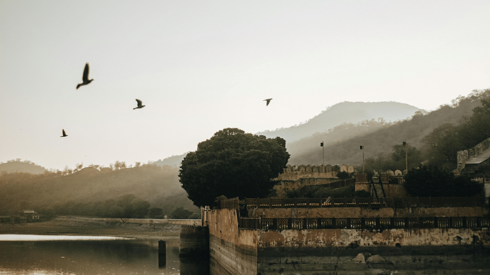 Silhouettes of birds flying over a tranquil lake with hills in the background.