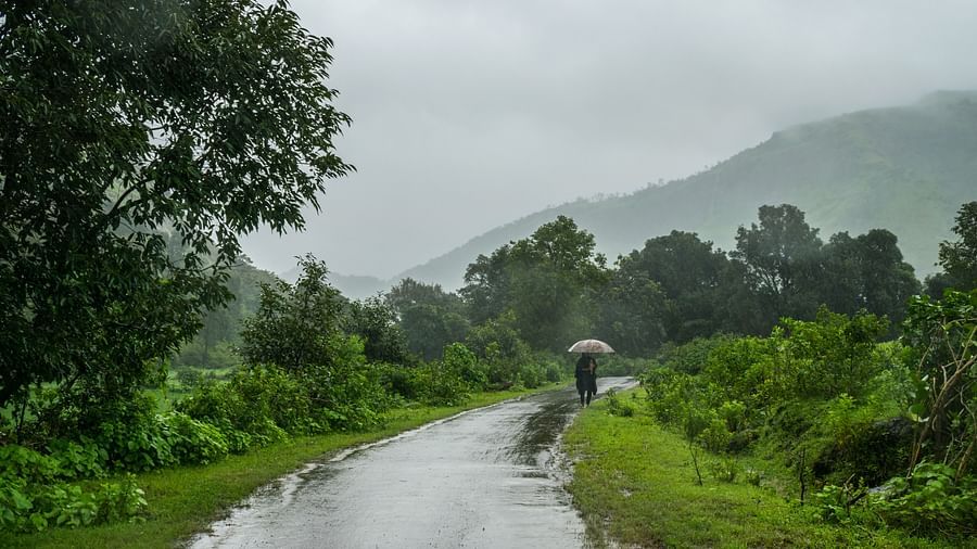 Monsoon season