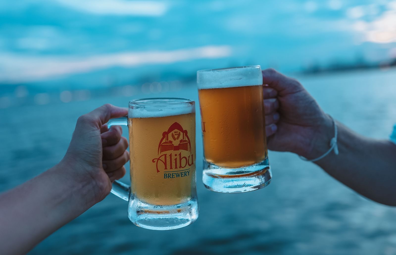 Two individuals toasting with glasses filled with frothy beer - Alibu Resort Nha Trang