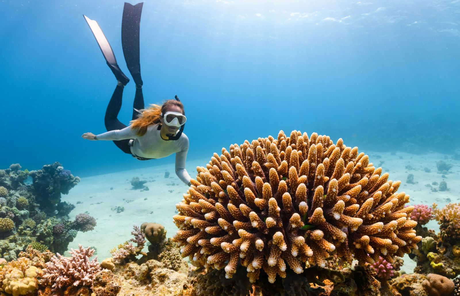 A female snorkeler swimming over a vibrant coral reef, with the sun's rays filtering down from the surface of the water.