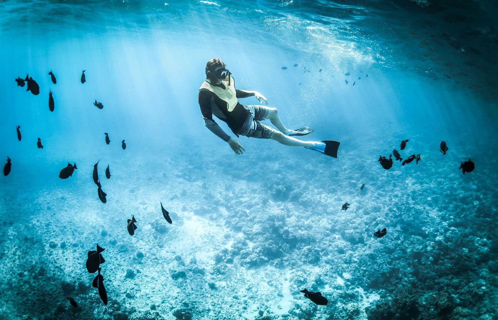 A person snorkelling in the ocean.