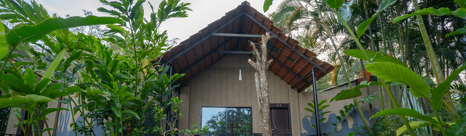 Facade of an accommodation with a pathway leading to it and plants on the side at Coorg Jungle Camp Backwater Resort, Kushalnagar.