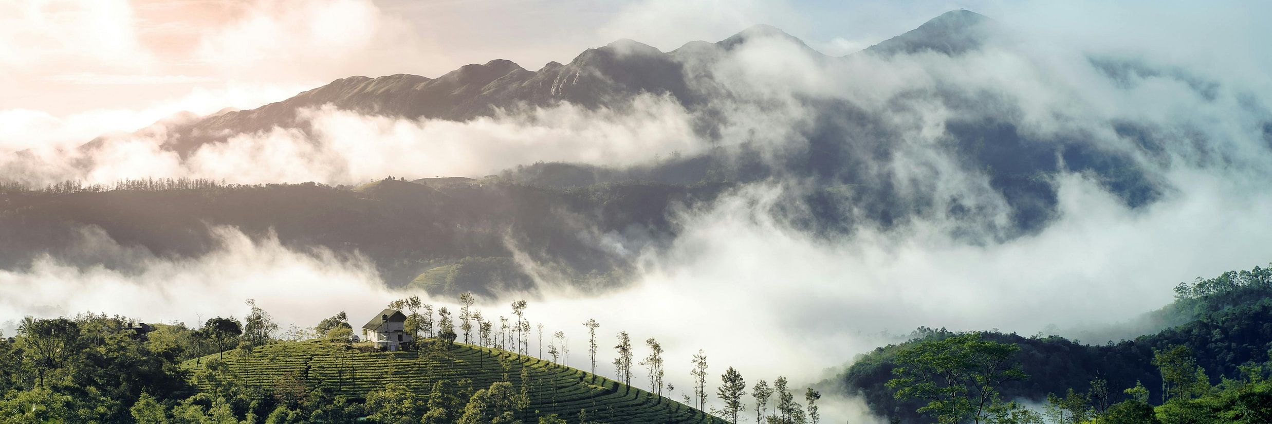 Scenic mountain view with rolling clouds and tea plantations nestled in the lush green hills.