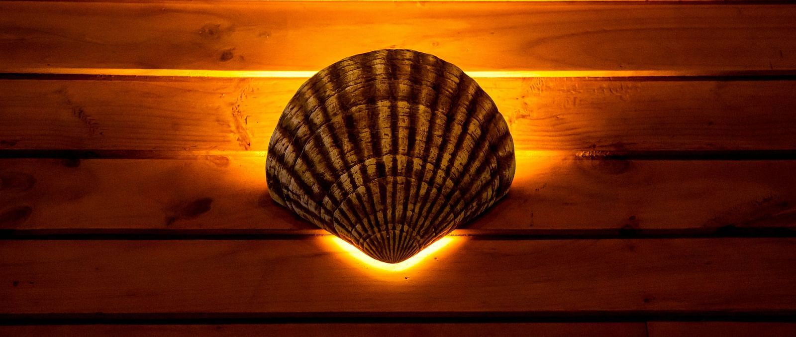 A lamp in the shape of a shell with warm yellow light placed on a wooden wall  - Coral Reef Resort & Spa, Havelock