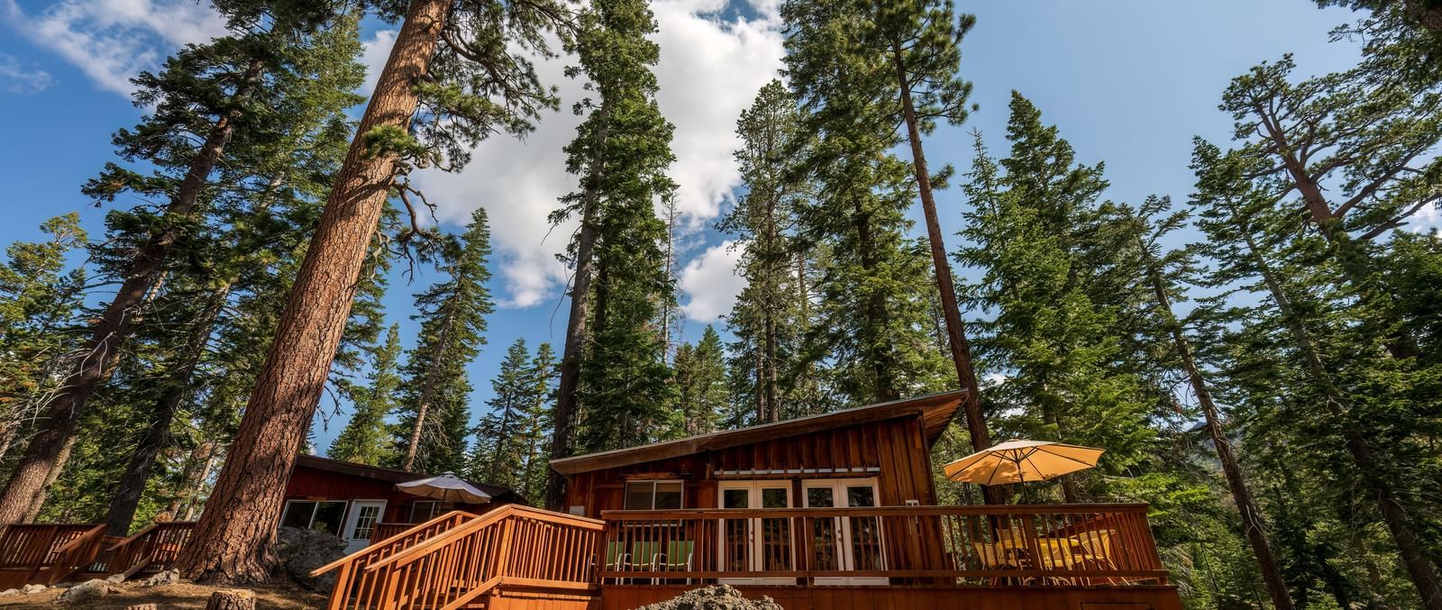 Scenic view of tall pines and cabin exteriors at Kit Carson Lodge.