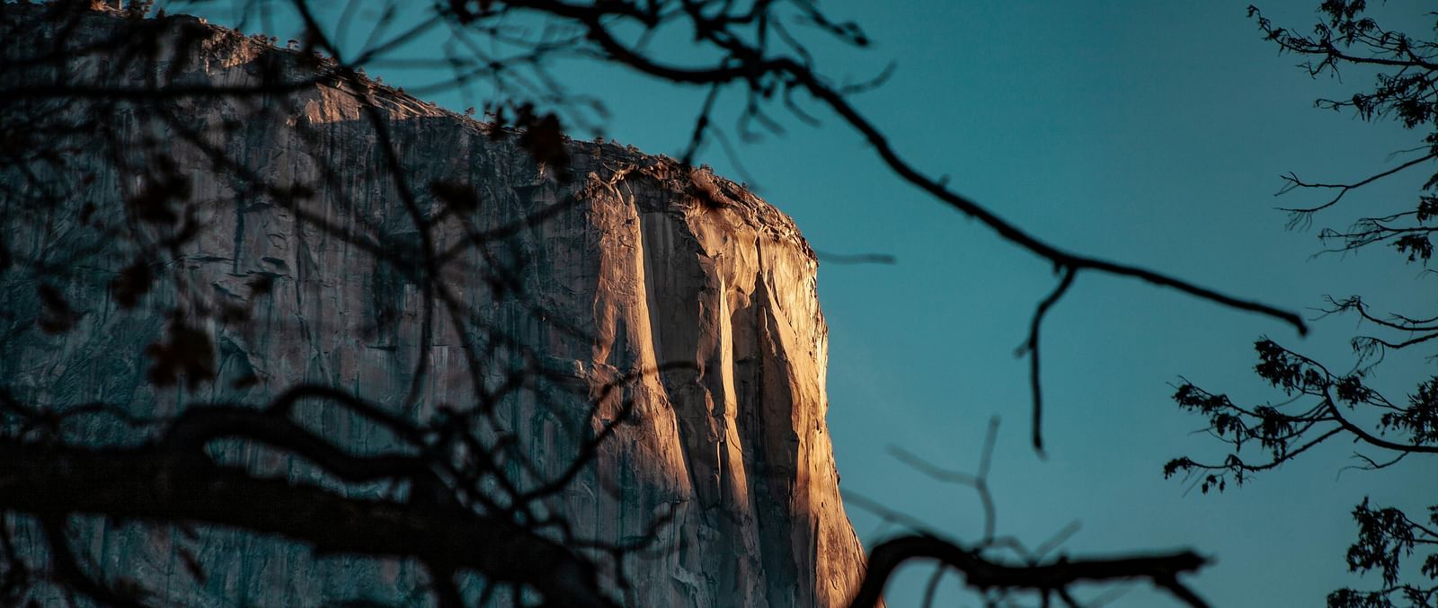 A view of a rock formation with branches of a tree in the foreground