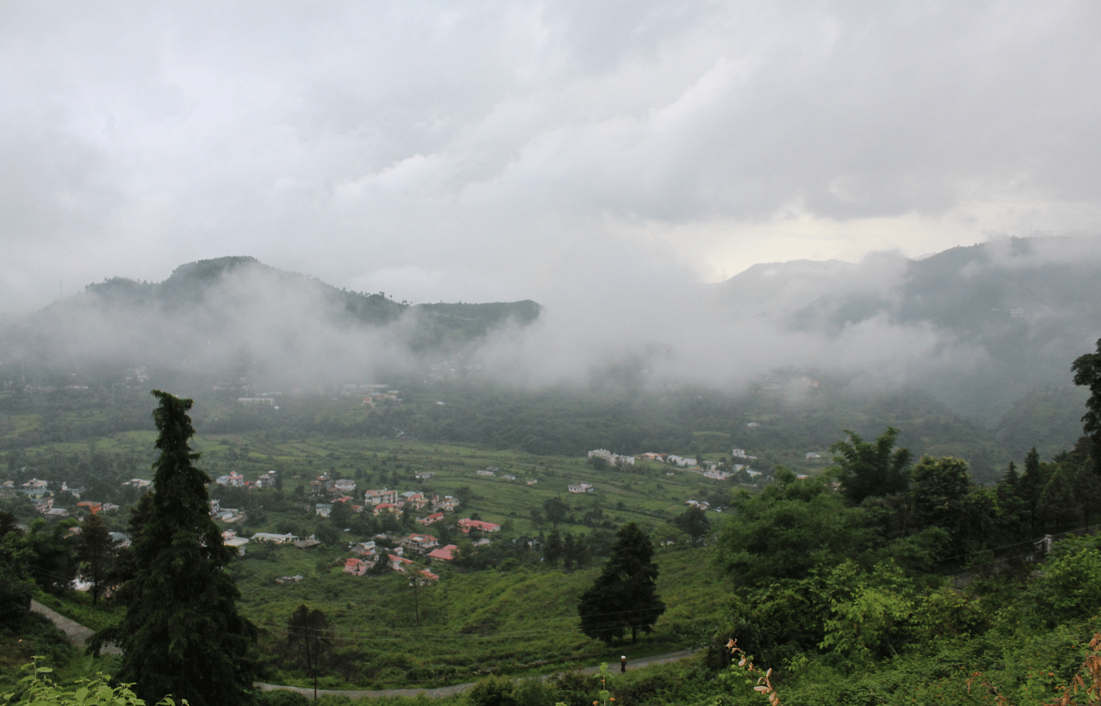 Picture of foggy hills with a lot of trees.