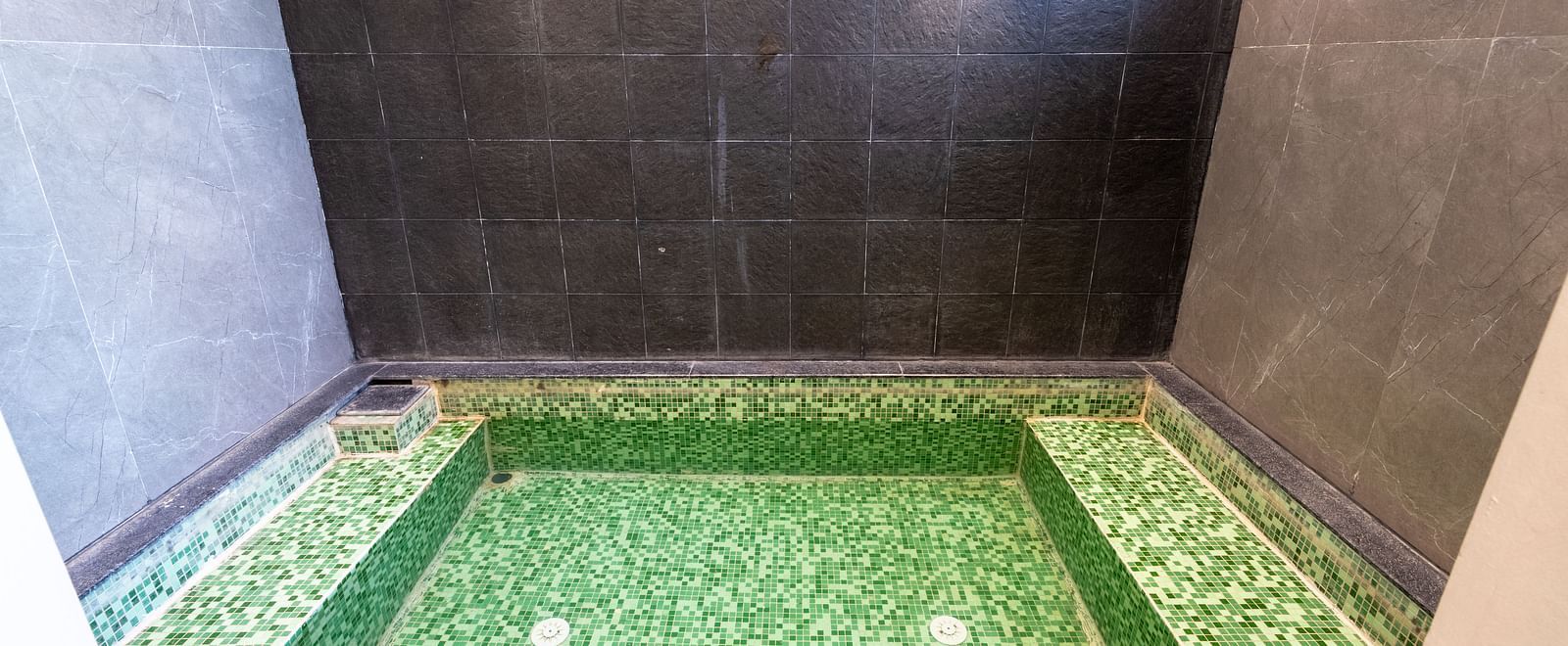 Indoor plunge pool in a private spa-style setting - DLS Forest Vines Resort & Spa, Ramnagar (Jim Corbett)