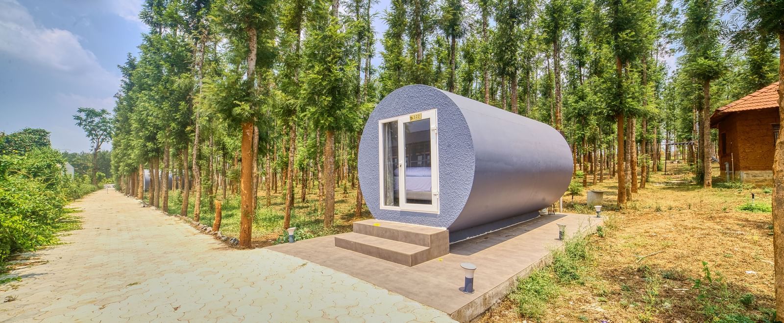 A modern, grey, capsule-shaped accommodation unit nestled among tall, slender trees, with a pathway leading to its entrance - Vintage Trails by Ilara