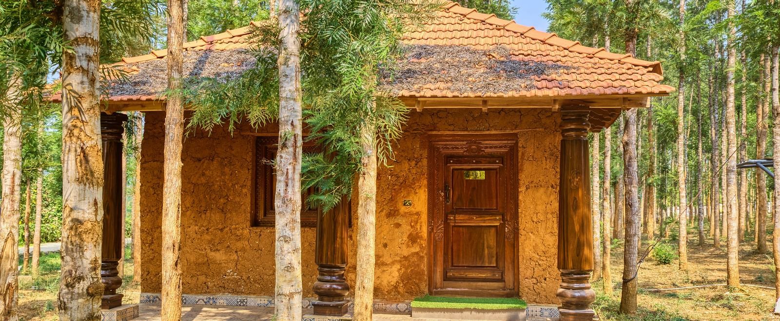 A small, rustic wooden cabin with a tiled roof and a front door, nestled amongst tall, slender trees in a natural setting. - Vintage Trails by Ilara