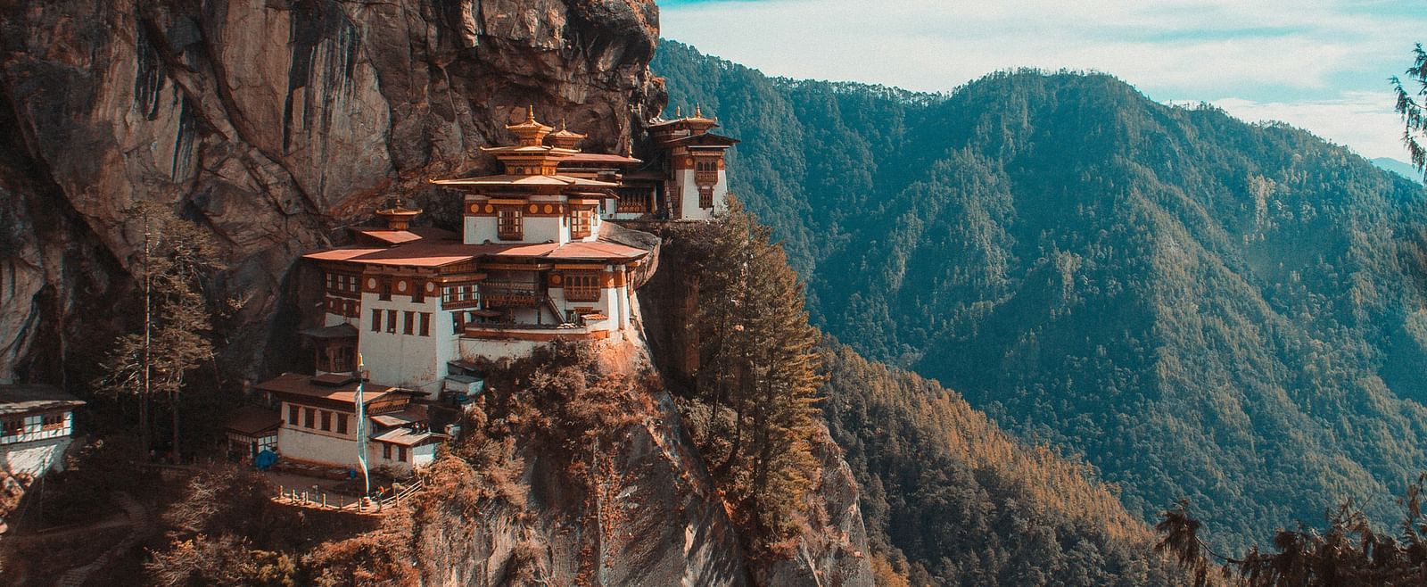 aaron-santelices-ZdwVvRdel8A-unsplash