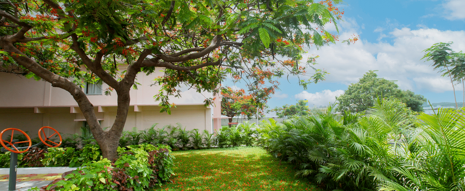 A well-carpeted lawn, featuring trees and shrubs at Greens Inn - Lush Hotel Grounds in Hyderabad.