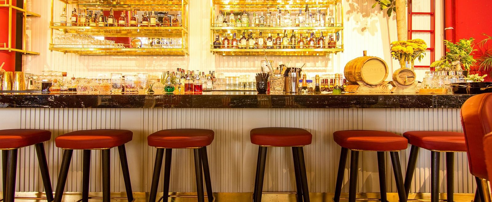 A bar with red stools lined up in front of a well-stocked back bar with bottles and glasses.