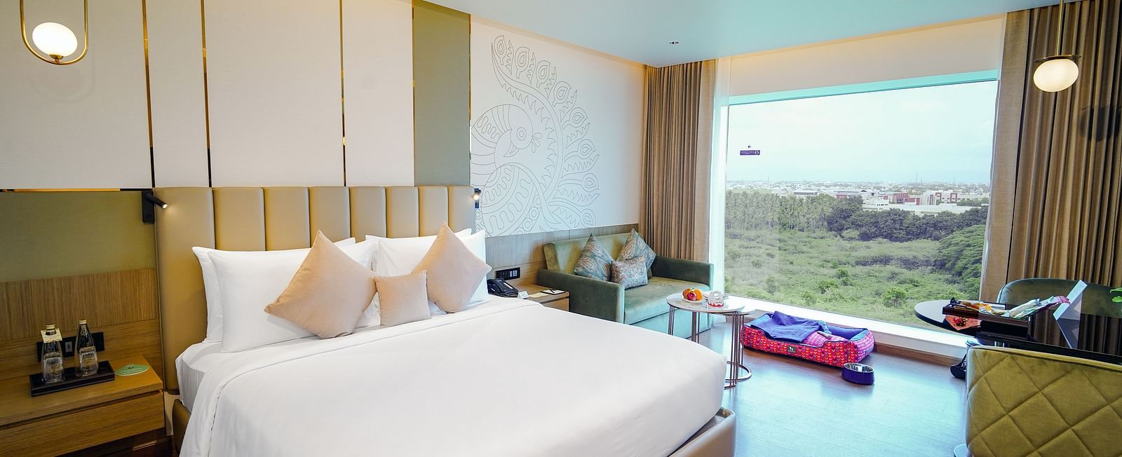 Pet Friendly room (2)