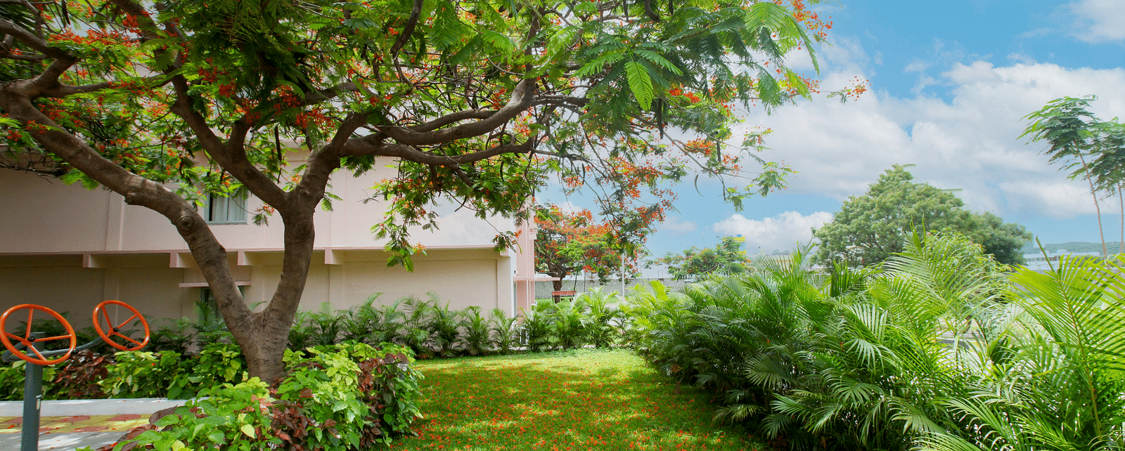 A well-carpeted lawn, featuring trees and shrubs at Greens Inn - Lush Hotel Grounds in Hyderabad.