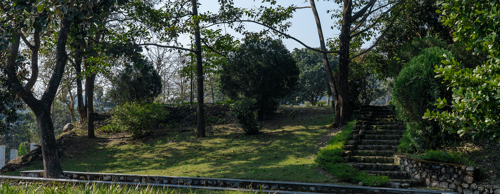 A view of the grass field at The Sylvan Retreat, Dehradun. 