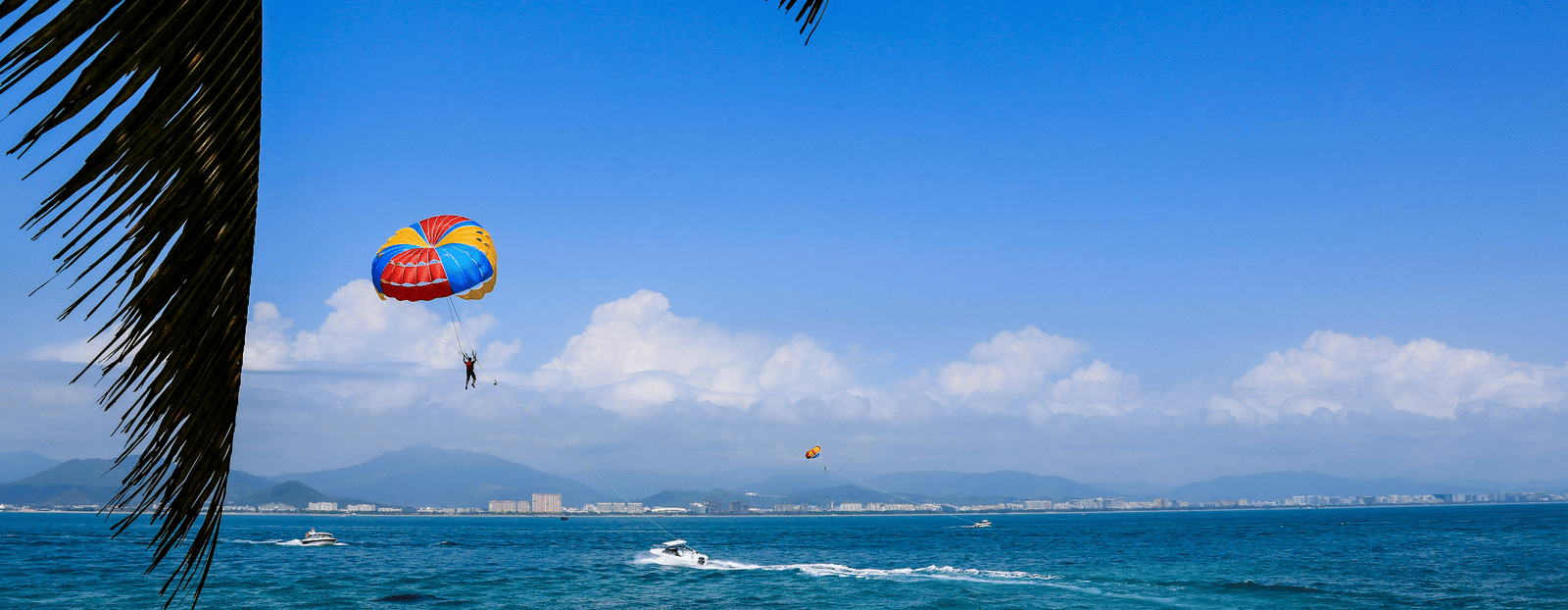 Colourful parasail floating above a serene beach with palm trees framing the scene.