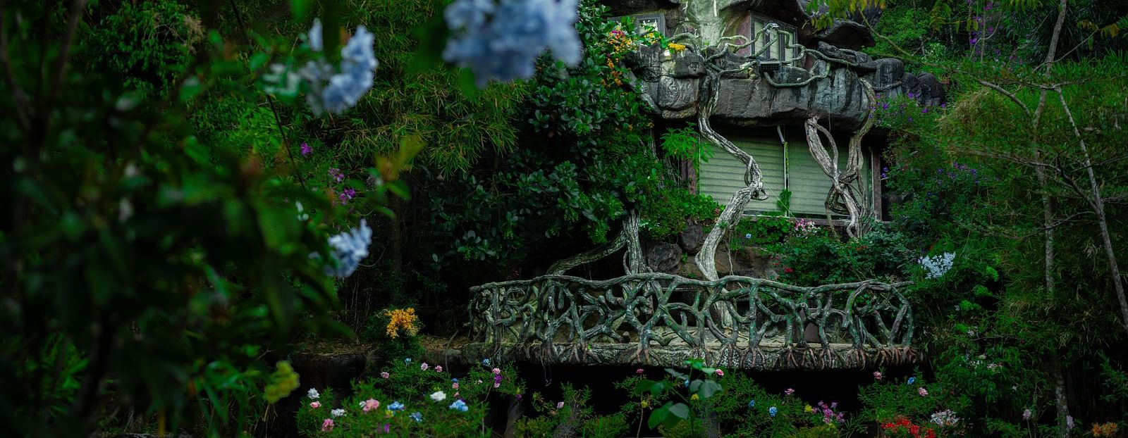 An image of a cave room amidst the jungle with pretty flowers and shurbs
