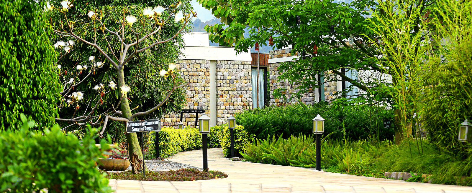 Exterior shot of the Golden Tusk Resort in Ramnagar on a bright sunny day with lush green surroundings around the pathways - Ivory Destinations