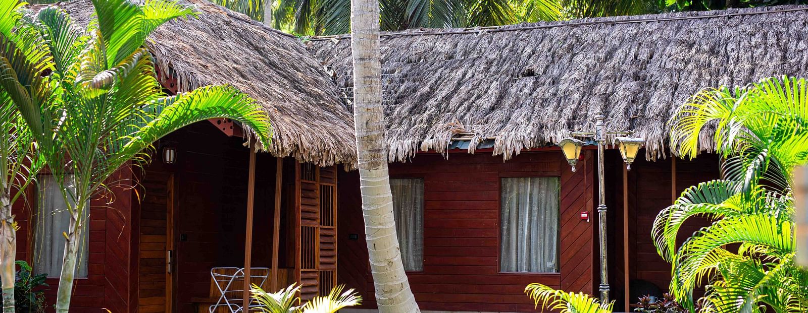 A thatched roof cottage surrounded by tropical vegetation. The cottage blends seamlessly into its surroundings, offering a peaceful retreat in the heart of nature - Coral Reef Resort & Spa, Havelock