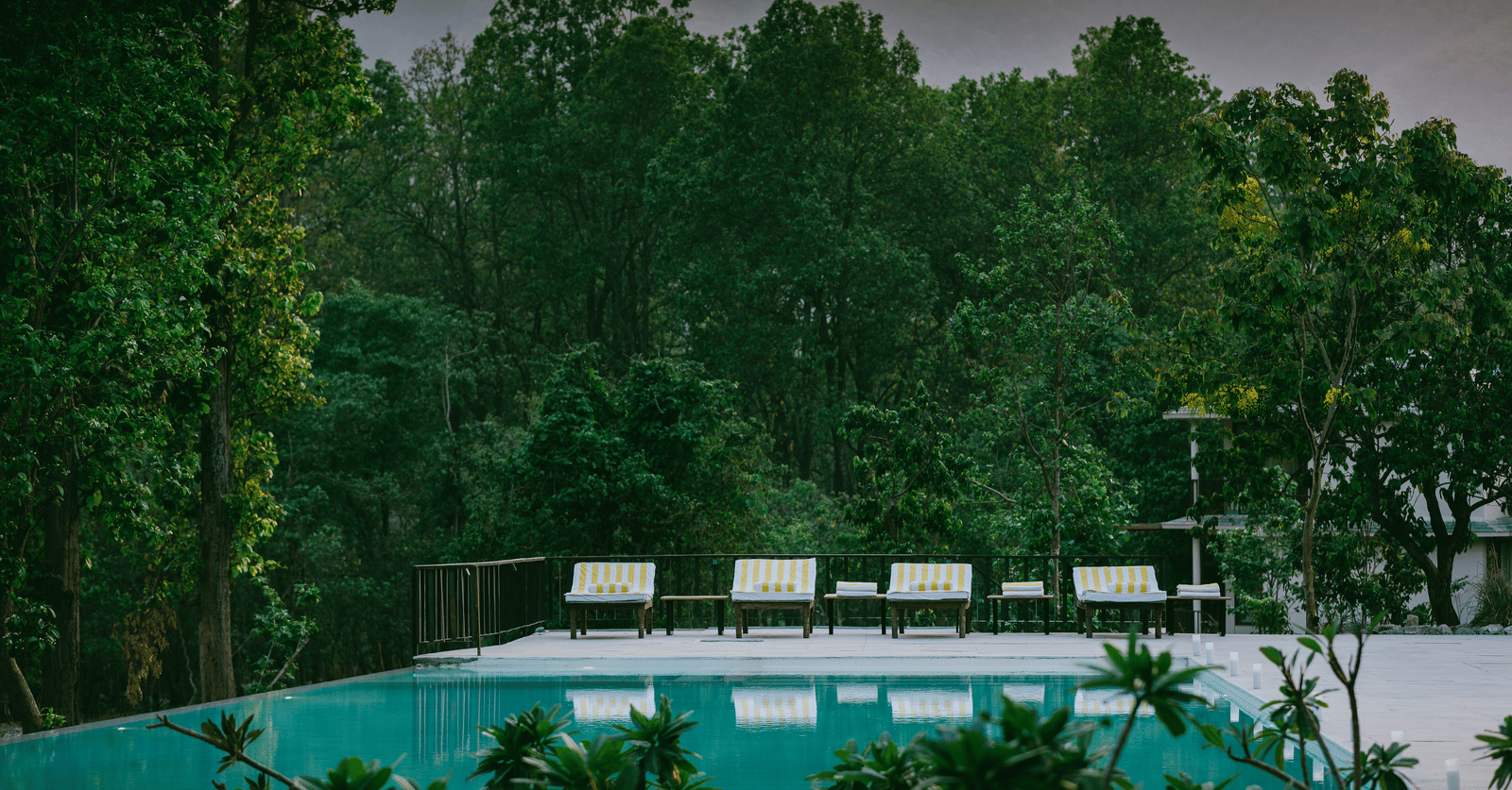 A view of the outdoor swimming pool at Saraca Resort & Spa Corbett surrounded by lush trees and mountains