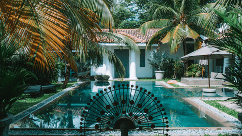 A tiled-roof villa with blue shutters beside a rectangular pool, framed by coconut palms, with a peacock-fan sculpture and a shaded lounge area.