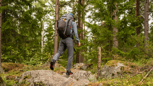 A person trekking through a forest