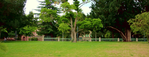 An image of a park with a bench in the foreground and trees in the background