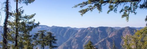 A landscape view of mountains and pine trees under the blue sky