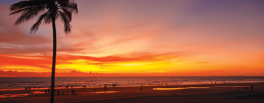 different hues in the sky after a sunset with a coconut tree in view - Caravela Beach Resort Goa
