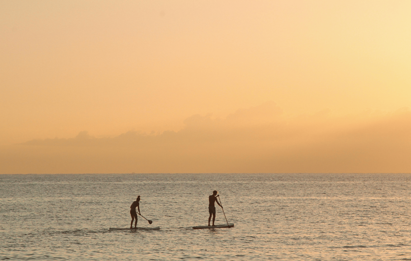 Two people paddleboarding on the sea during sunset with soft orange and golden tones in the sky.